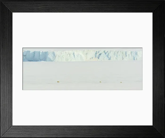 Framed Print : Arctic Arctic Ocean Climate Change Ecotourism Framed Print : Arctic Arctic Ocean Climate Change Ecotourism