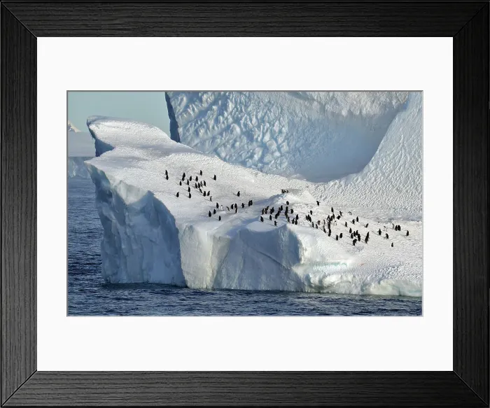 Framed Print : Outdoors Ice Sea Nature No People Iceberg - Ice Formation Framed Print : Outdoors Ice Sea Nature No People Iceberg - Ice Formation