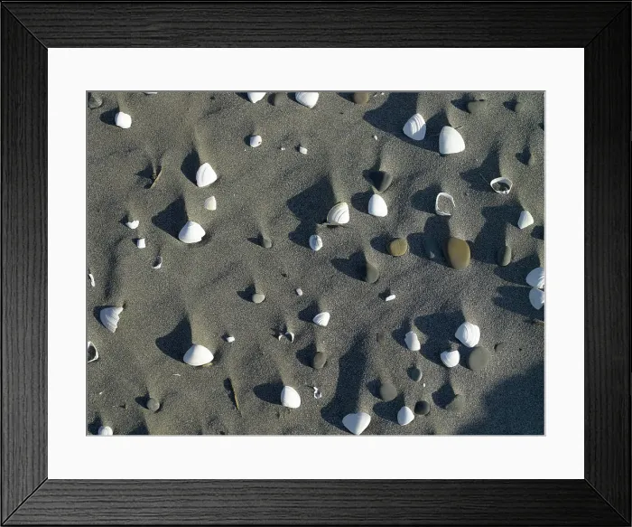 Framed Print : Shells and pebbles on the sand Framed Print : Shells and pebbles on the sand