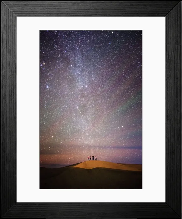 Framed Print : Baja Beach California Desert Dolphin Gray Whales Framed Print : Baja Beach California Desert Dolphin Gray Whales