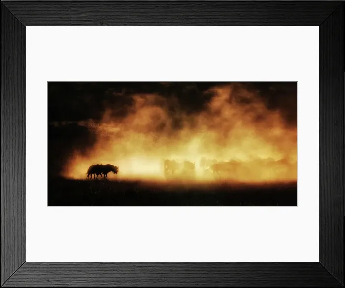 Framed Print : Outdoors No People In Silhouette Nature Landscape - Scenery Framed Print : Outdoors No People In Silhouette Nature Landscape - Scenery