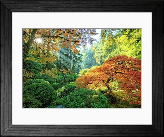 Framed Print : Washington Oregon Road Trip Fall Autumn Fall Colors Framed Print : Washington Oregon Road Trip Fall Autumn Fall Colors