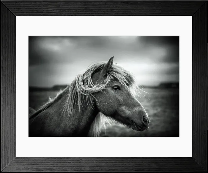 Framed Print : Waterfall Glacier Horse Animal Outdoors Mammal Framed Print : Waterfall Glacier Horse Animal Outdoors Mammal