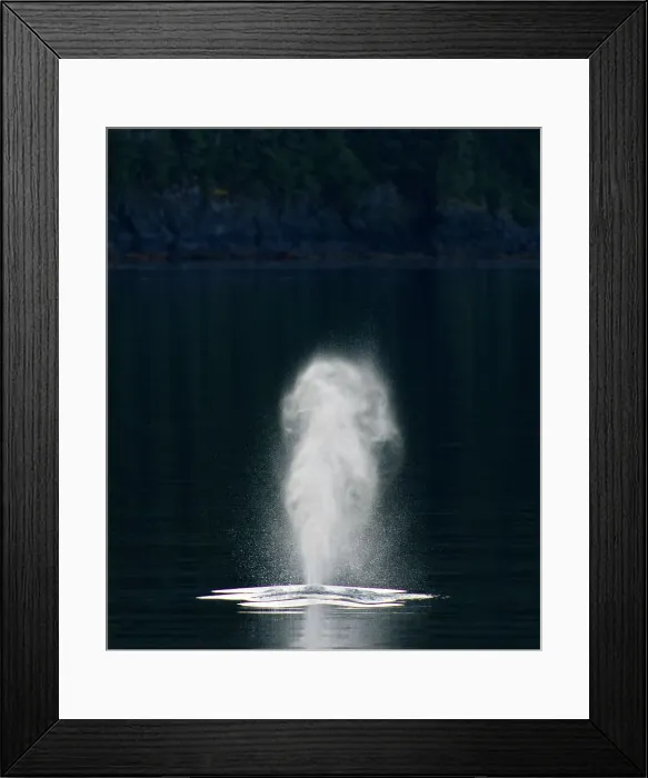 Framed Print : NIKON Df AF VR Zoom 70-200mm F / 2.8G IF-ED Alaska Framed Print : NIKON Df AF VR Zoom 70-200mm F / 2.8G IF-ED Alaska