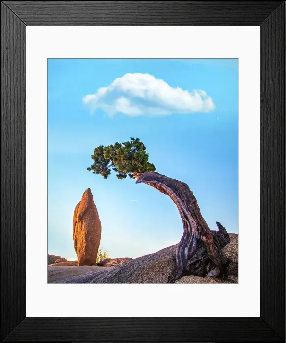 Framed Print : Road Trip California Desert Joshua Tree Jtree Framed Print : Road Trip California Desert Joshua Tree Jtree