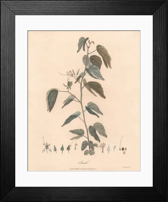 Framed Print : Farek 1789 James Heath 1757-1834 British James Bruce Framed Print : Farek 1789 James Heath 1757-1834 British James Bruce