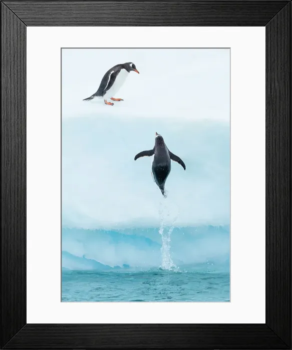 Framed Print : Adventure Adventure Travel Antarctica Blue Ice Framed Print : Adventure Adventure Travel Antarctica Blue Ice