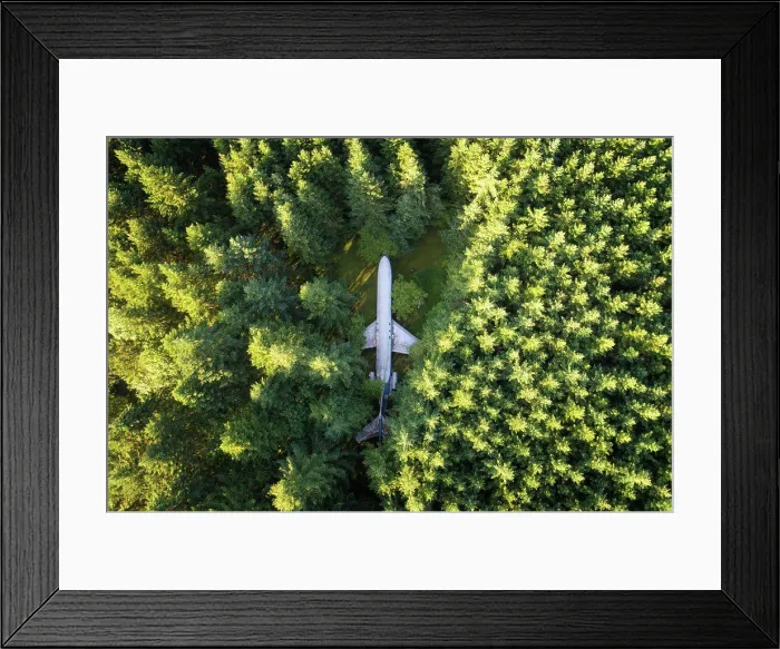 Framed Print : Aerial view of plane in the woods Framed Print : Aerial view of plane in the woods