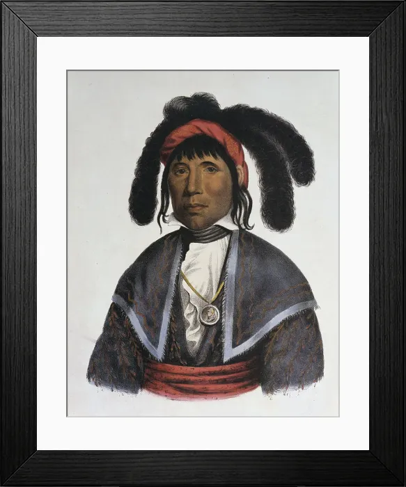 Framed Print : Micanopy Seminole Chief by Charles Bird King Framed Print : Micanopy Seminole Chief by Charles Bird King