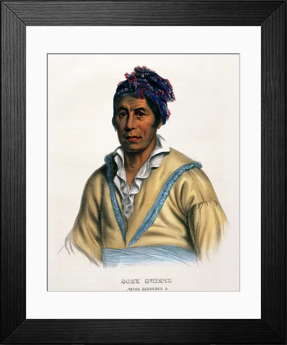 Framed Print : Spring Frog (Cherokee Chief) by King Framed Print : Spring Frog (Cherokee Chief) by King
