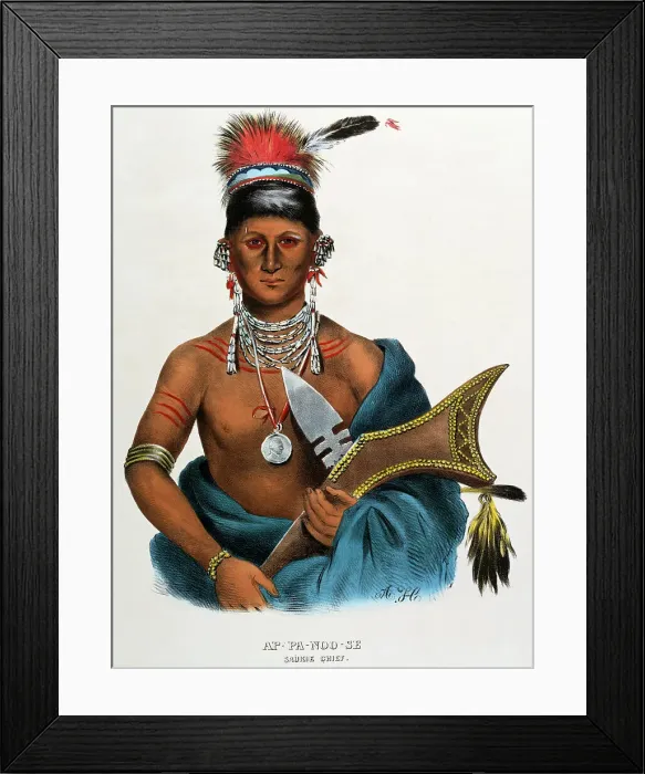 Framed Print : Ap-pa-noo-se (Saukie Chief) by King