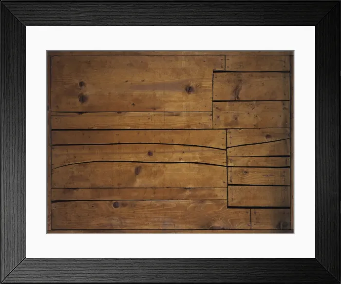 Framed Print : Zylo-Probe 5 by Thompson