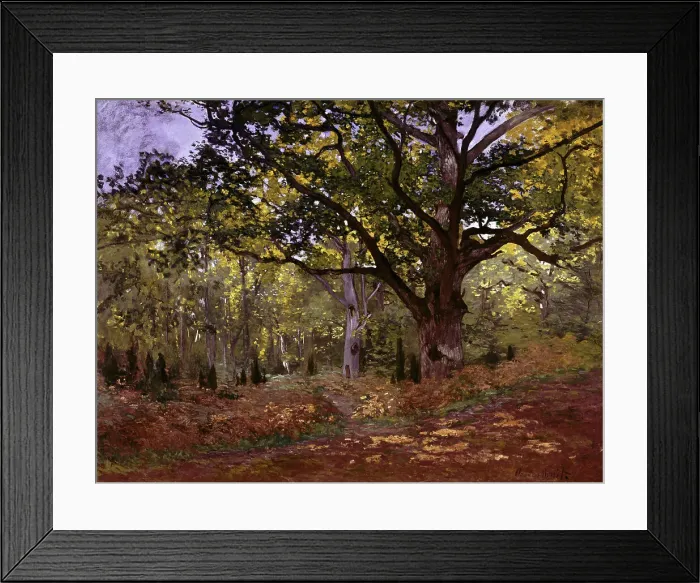 Framed Print : Bodmer Oak, Fontainebleau Forest by Monet Framed Print : Bodmer Oak, Fontainebleau Forest by Monet