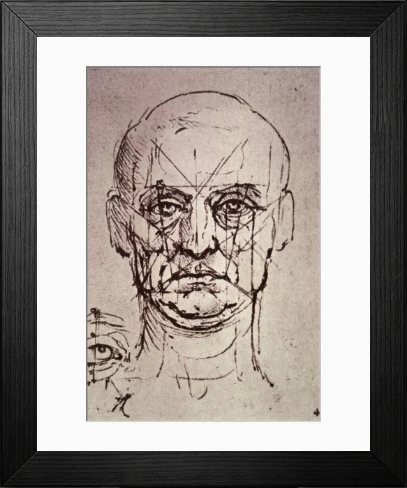Framed Print : Proportions of the Face by Leonardo da Vinci Framed Print : Proportions of the Face by Leonardo da Vinci