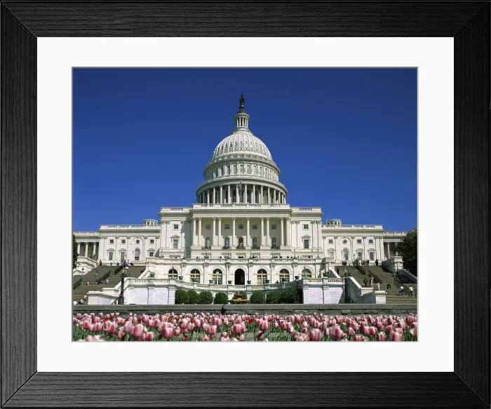 Framed Print : Capitol Building, Washington, D.C. USA Framed Print : Capitol Building, Washington, D.C. USA