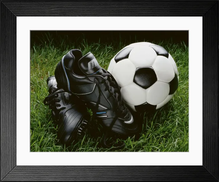 Framed Print : 291, 291-1783A