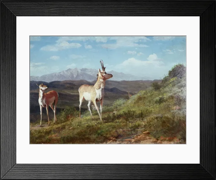 Framed Print : Antelope by Bierstadt Framed Print : Antelope by Bierstadt