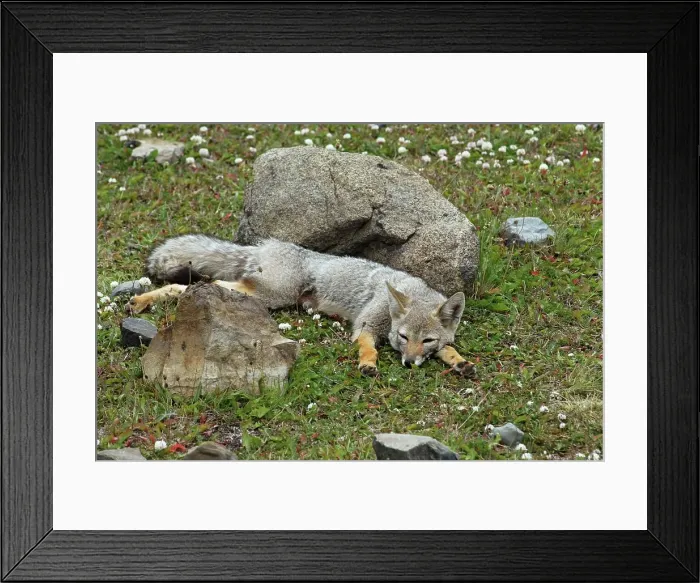 Framed Print : 4313, 4313-624