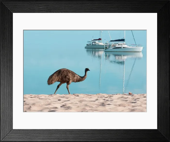 Framed Print : Photographer request SC 2024)8 Framed Print : Photographer request SC 2024)8
