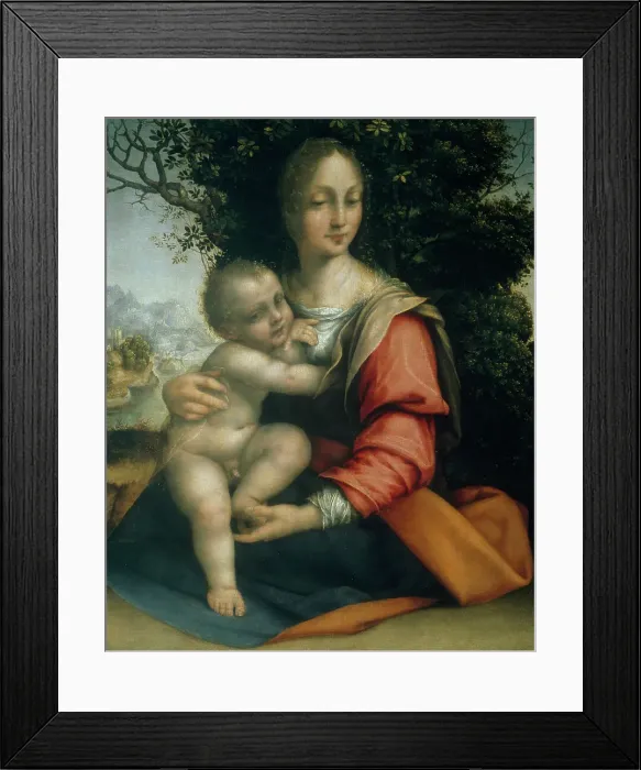 Framed Print : Madonna with Child by Cesare da Sesto Framed Print : Madonna with Child by Cesare da Sesto