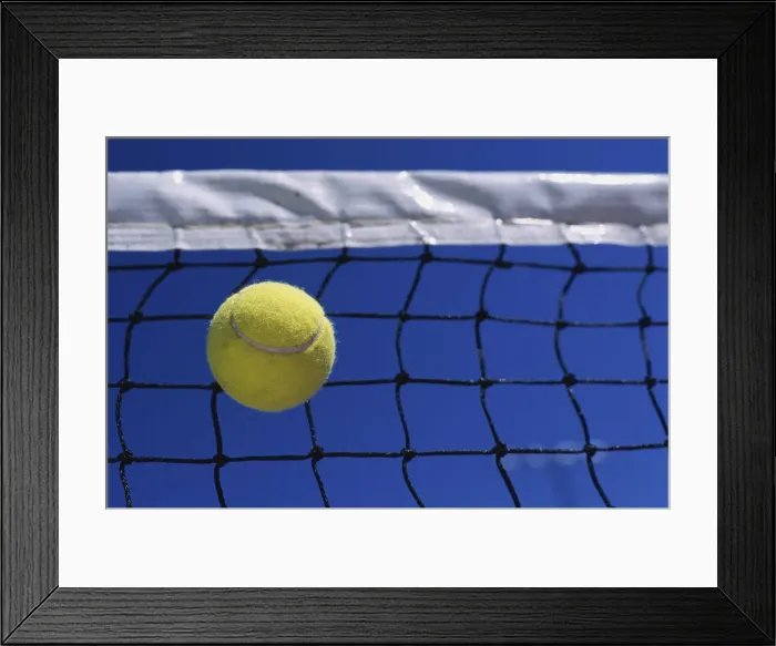 Framed Print : 1321, 1321-303 Framed Print : 1321, 1321-303