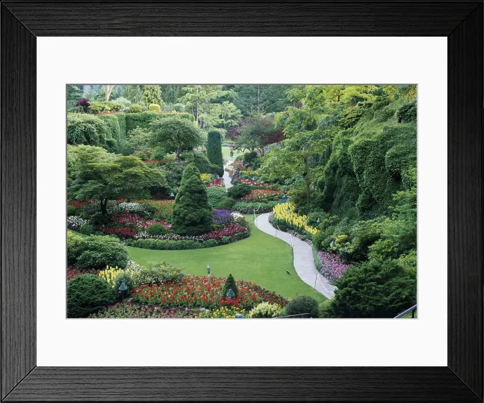 Framed Print : Butchart Gardens, Victoria, Canada Framed Print : Butchart Gardens, Victoria, Canada