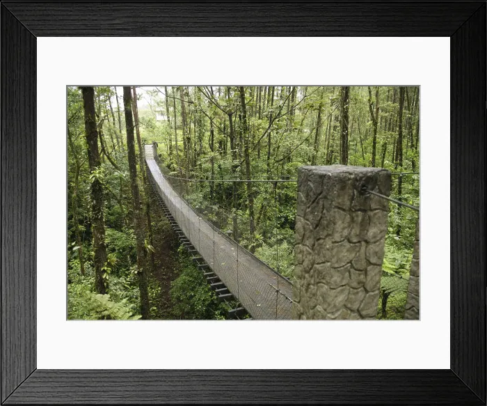 Framed Print : Costa Rica