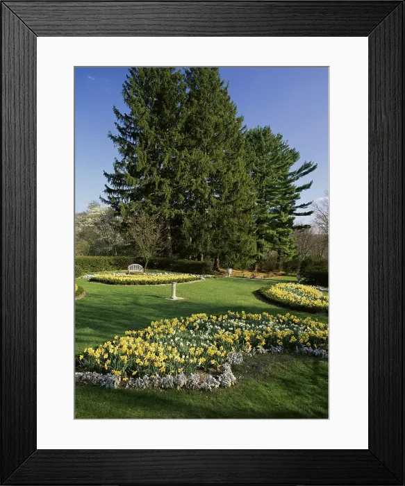 Framed Print : New Jersey State Botanical Garden, New Jersey, USA Framed Print : New Jersey State Botanical Garden, New Jersey, USA
