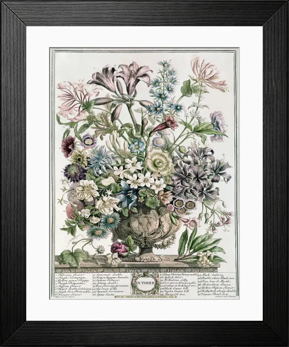 Framed Print : October by Fletcher Framed Print : October by Fletcher