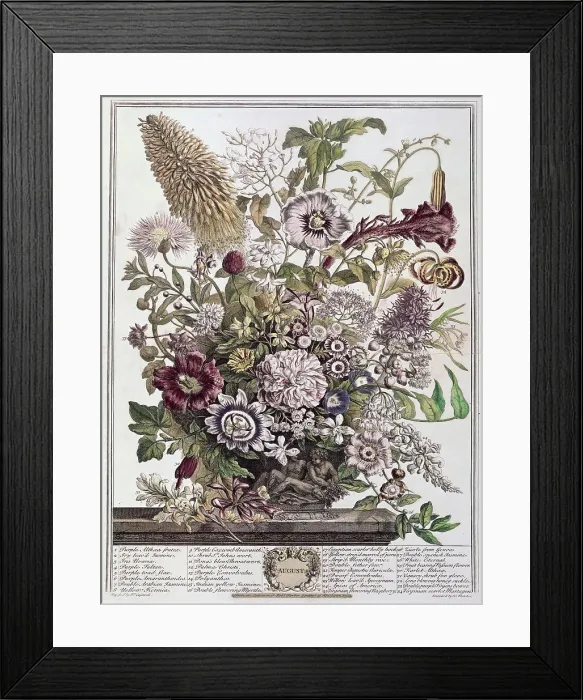 Framed Print : August by Fletcher
