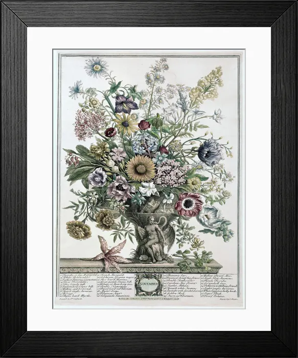 Framed Print : November by Fletcher Framed Print : November by Fletcher