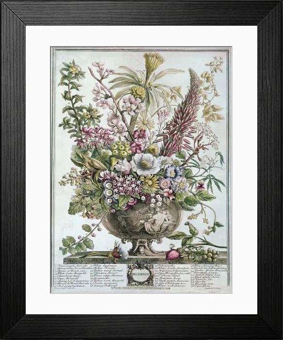 Framed Print : December by Fletcher