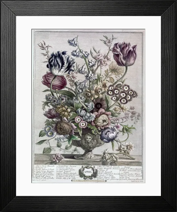Framed Print : April by Fletcher Framed Print : April by Fletcher