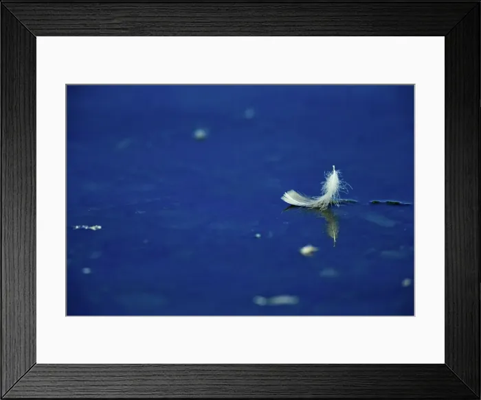 Framed Print : Canada, British Columbia, Vancouver Island Framed Print : Canada, British Columbia, Vancouver Island