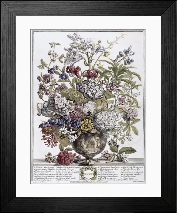 Framed Print : July by Fletcher