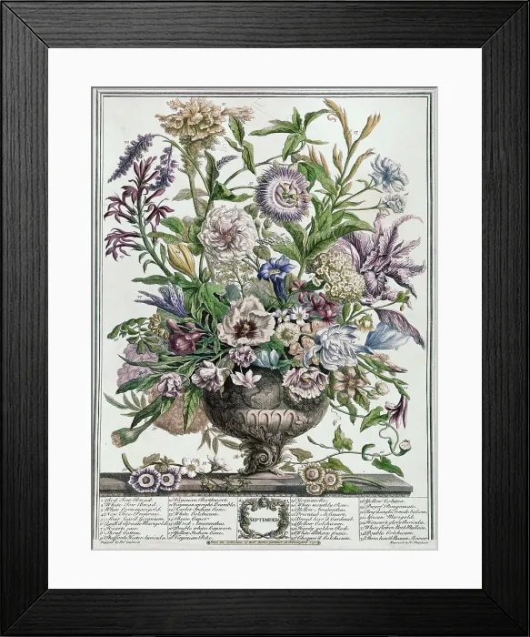 Framed Print : September by Fletcher Framed Print : September by Fletcher