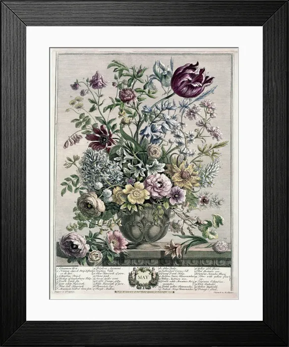 Framed Print : May by Fletcher Framed Print : May by Fletcher