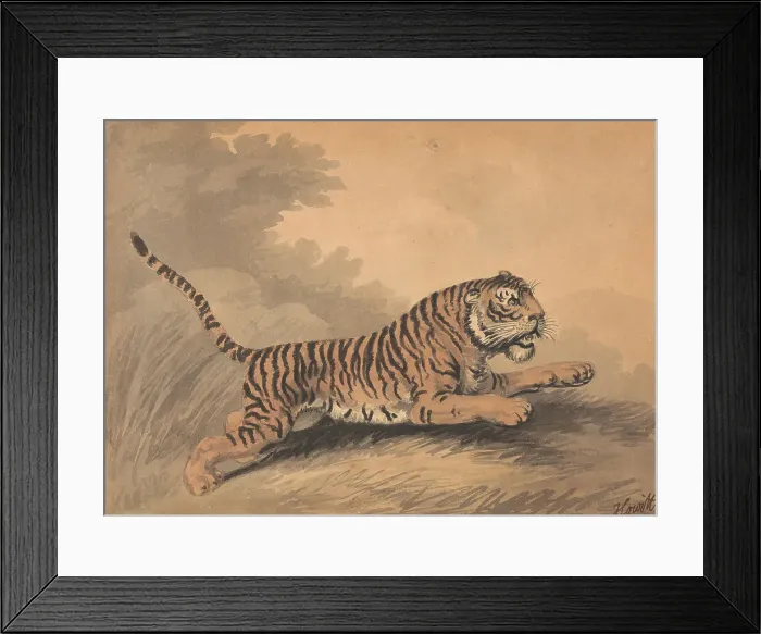Framed Print : Tigress Leaping Right Samuel Howitt 1756-1822 Framed Print : Tigress Leaping Right Samuel Howitt 1756-1822