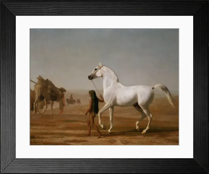 Framed Print : Wellesley Grey Arabian Led Desert Jacques-Laurent Agasse