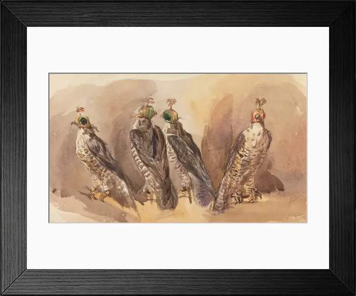 Framed Print : Four Hooded Falcons Attributed John Frederick Tayler Framed Print : Four Hooded Falcons Attributed John Frederick Tayler