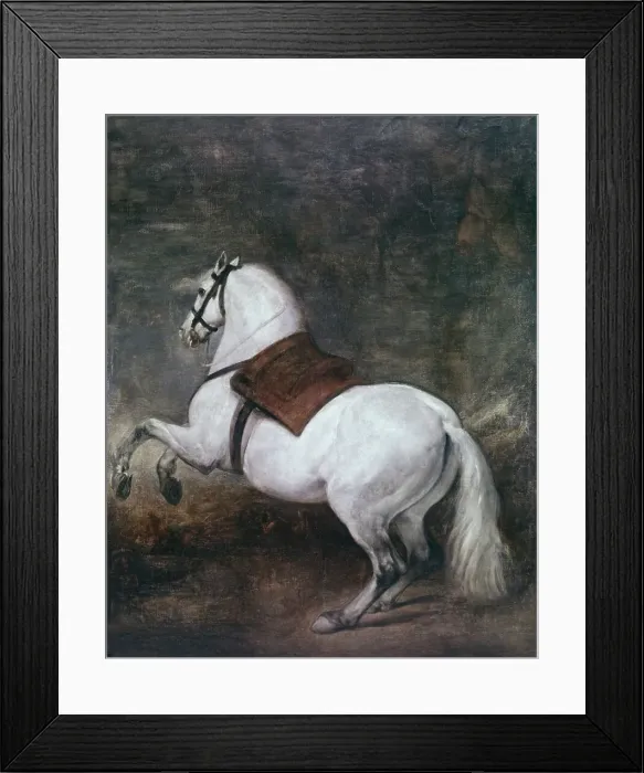 Framed Print : A White Horse by Velazquez Framed Print : A White Horse by Velazquez
