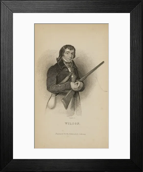 Framed Print : 1835 Antique Art Biology Bird Birds Classification Framed Print : 1835 Antique Art Biology Bird Birds Classification