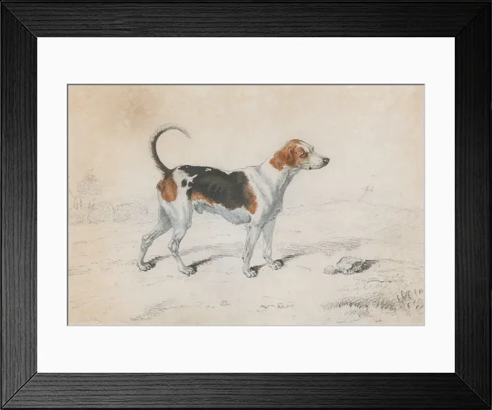 Framed Print : Harrier William Webb Ca 1780-1845 British Graphite Framed Print : Harrier William Webb Ca 1780-1845 British Graphite