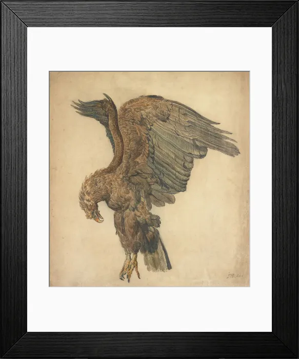 Framed Print : Study Plunging Eagle James Ward 1769-1859 British