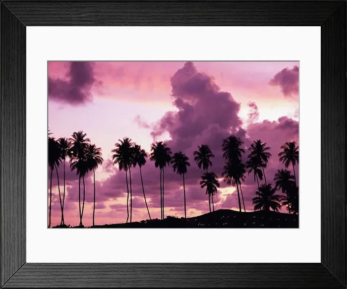 Framed Print : Silhouette of palm against the cloudy sky at sunset Framed Print : Silhouette of palm against the cloudy sky at sunset