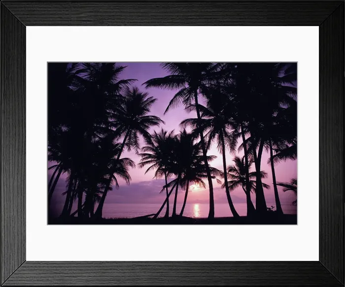 Framed Print : Silhouette of palm trees on the beach at sunset Framed Print : Silhouette of palm trees on the beach at sunset