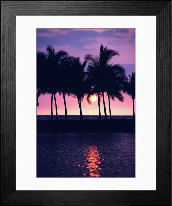 Framed Print : Silhouette of palm trees on the beach at sunset Framed Print : Silhouette of palm trees on the beach at sunset