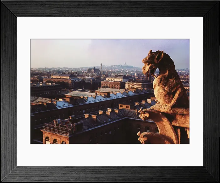 Framed Print : Gargoyle atop of a cathedral with city in the background