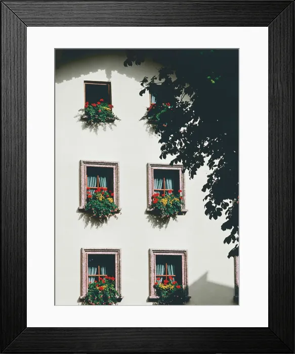 Framed Print : Window boxes on windows of a residential building Framed Print : Window boxes on windows of a residential building