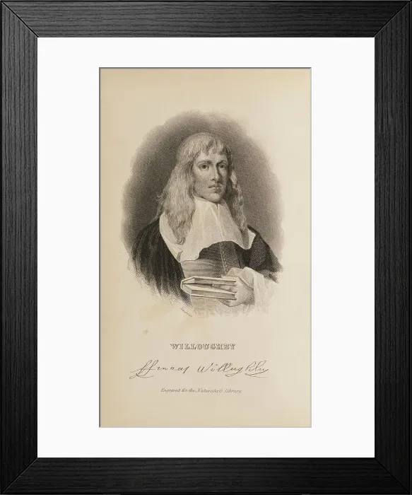 Framed Print : 1835 Antique Art Biology Bird Birds Classification Framed Print : 1835 Antique Art Biology Bird Birds Classification